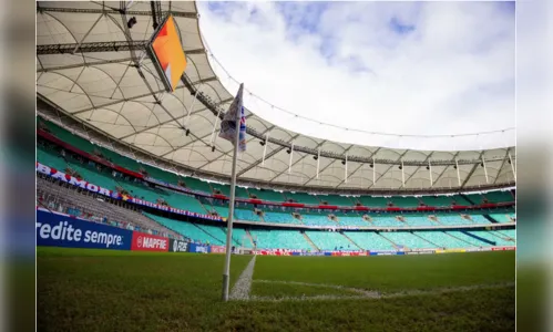 Bahia x Palmeiras: onde assistir ao vivo neste domingo