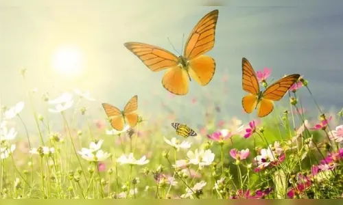 As manhãs de inverno hibernando nossa alma dão passagem para o despertar da primavera