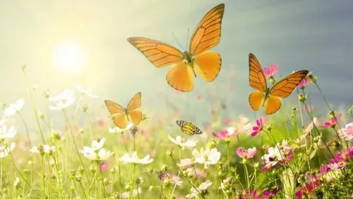 As manhãs de inverno hibernando nossa alma dão passagem para o despertar da primavera