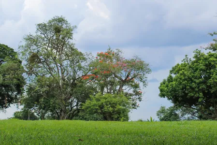 As temperaturas ficarão divididas