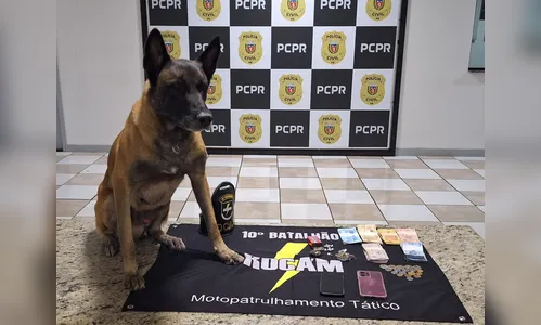 Cão farejador encontra crack e maconha em biqueira; três são presos