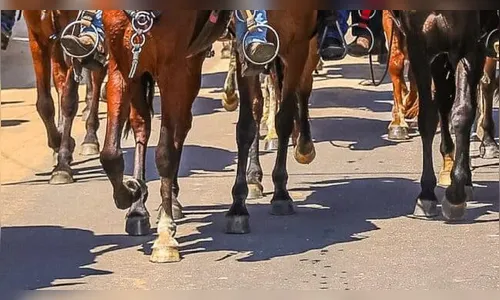 Criança é ferida por cavalo durante festa da Independência na região