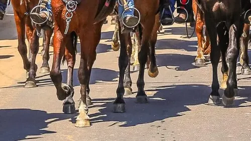 Cavalo pisou no pé de uma criança