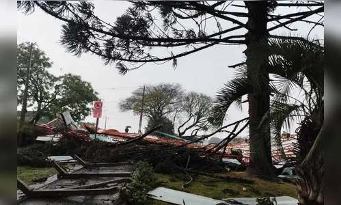 PR: temporais causam estragos nas cidades; ventos chegaram a 121 km/h