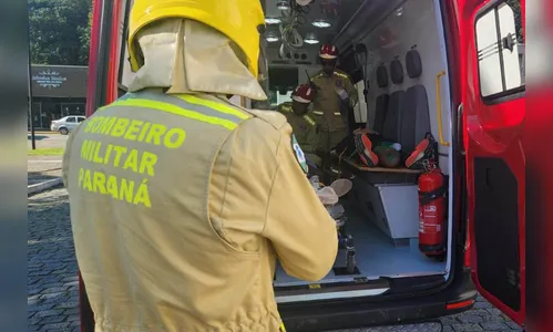 Corpo de Bombeiros do PR registra 300 ataques de cachorros em 2025