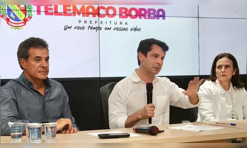 Curi propõe debate no setor madeireiro