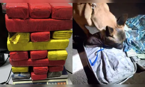 Passageira de ônibus é presa com mais de 17 kg de maconha em Arapongas