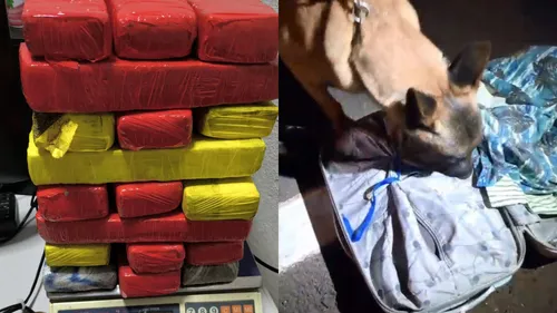 Drogas foram entradas por cão farejador