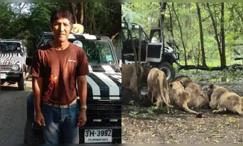 Funcionário de zoológico é devorado por leões na presença de turistas