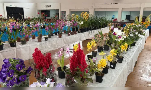 Exposição de Orquídeas em Jardim Alegre atrai grande público