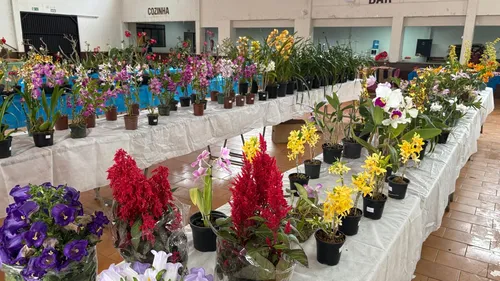 Exposição de Orquídeas em Jardim Alegre atrai grande público