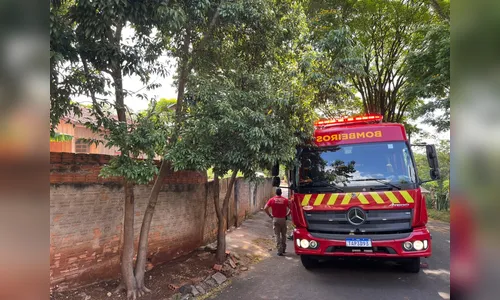 Incêndio em vegetação aos fundos de residência mobiliza Corpo de Bombeiros