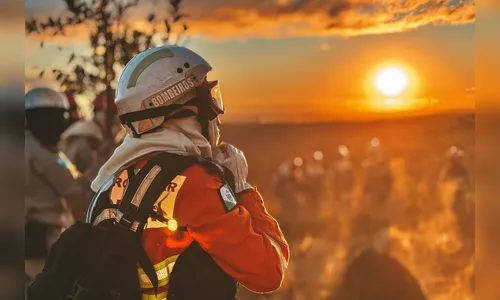 Incêndios floresta cai pela metade em agosto, mas setembro é um risco