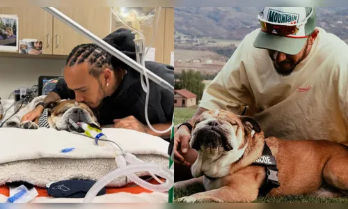 Lewis Hamilton anuncia a morte de seu cão Roscoe: 