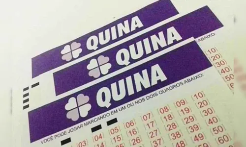 Quina: confira os números sorteados do concurso 6843