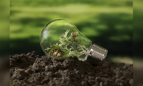 Novo Campo: Tendências que Estão Redesenhando o Futuro do Agronegócio