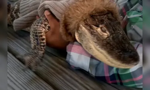 Jacaré de apoio emocional é proibido de entrar em supermercado