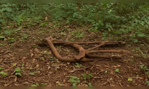 Quadro de moto roubada é localizada em mata de São João do Ivaí