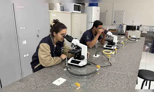 IFPR Ivaiporã abre vestibular com vagas técnicas e superiores