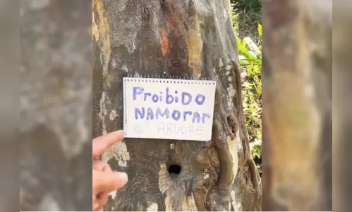“Proibido namorar com a árvore”: caso inusitado viraliza no Amazonas