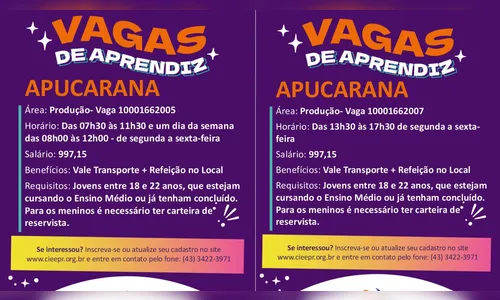 Emprego: Apucarana tem vagas de meio período para jovens até 22 anos