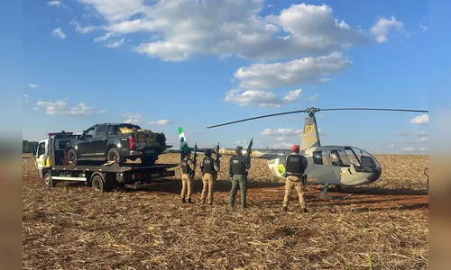 PM apreende quase uma tonelada de maconha em área rural no Paraná