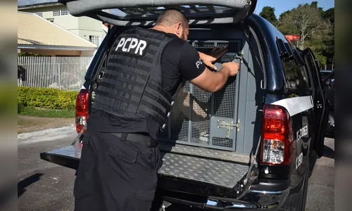 Suspeito de furtar 410 litros de gasolina é preso com mais 109 litros