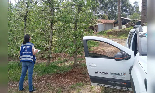 Adapar anuncia concurso com 57 vagas e salários chegam a R$ 8,4 mil