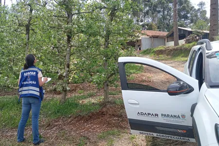 Os candidatos podem solicitar a isenção entre 29 de setembro e 3 de outubro