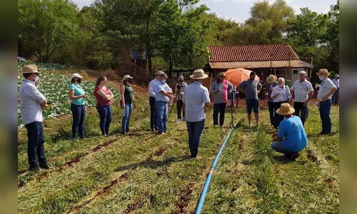 IDR-Paraná abre inscrições para PSS com 173 vagas para áreas do campo