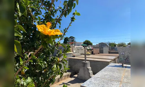 Confira os falecimentos desta quarta-feira (8) em Apucarana e região