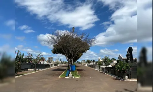 Confira os falecimentos deste sábado (4) em Apucarana