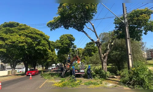 Prefeitura de Apucarana faz poda de árvores em entrada da cidade