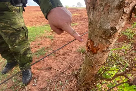 Sinais de tiro foram encontrados em propriedade rural