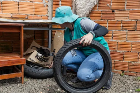 Um único mosquito pode voar até 150 metros, segundo a AMS
