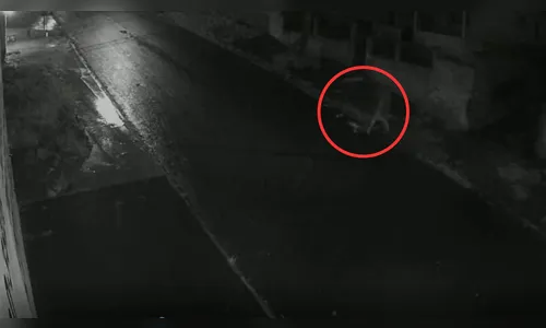 Vídeo mostra homem arrastando corpo após homicídio em Apucarana; veja