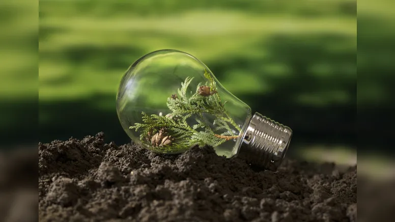 Imagem ilustrativa da notícia Novo Campo: Tendências que Estão Redesenhando o Futuro do Agronegócio