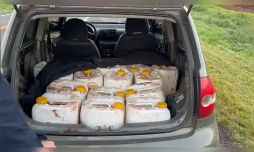 Homem é preso transportando agrotóxicos ilegais na BR-277