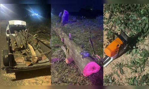 Homem é pego cortando árvore com motosserra no centro de Apucarana