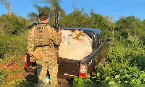 PRF apreende caminhonete com agrotóxicos contrabandeados no PR