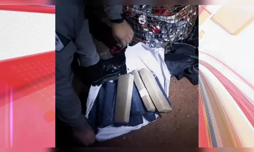 Rotam apreende mais de 11 kg de maconha e prende homem em Ivaiporã