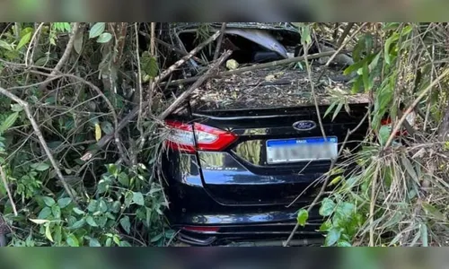 Motorista morre após carro sair da pista e bater em árvores na PR-466