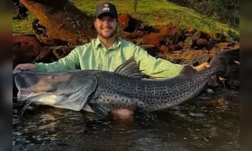 Pescador fisga pintado de 1,55 m e 30 kg no Rio Ivaí
