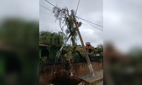 Temporal destrói estufas e deixa Marilândia do Sul sem luz e água