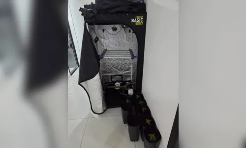 Polícia encontra estufas de maconha em operação em Maringá