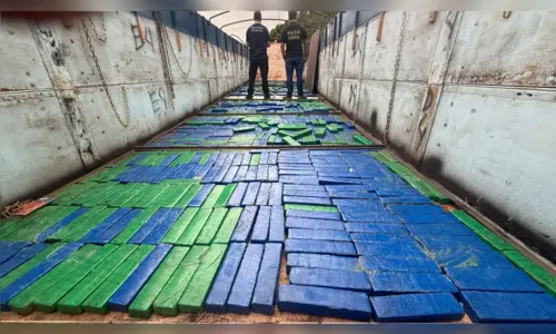 Ação conjunta apreende 3,5 toneladas de maconha no PR