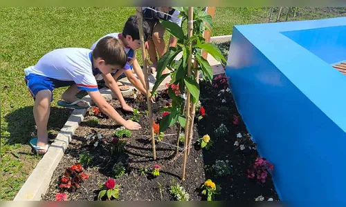 CMEIs de Ivaiporã serão contemplados com Jardins Água e Mel da Sanepar
