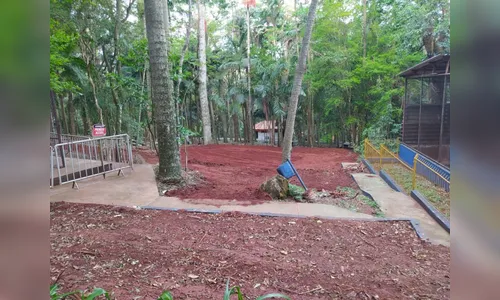 Prefeitura de Apucarana fecha Bosque Municipal para reforma
