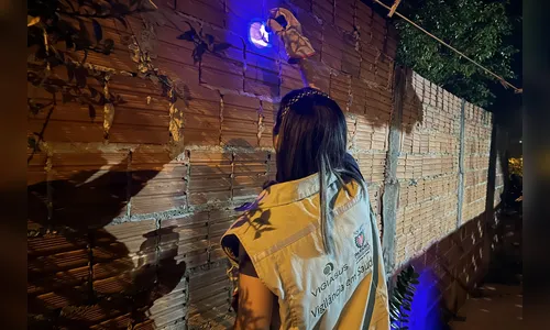 Ações noturnas resultam na captura de 3,3 mil escorpiões na região de Jacarezinho