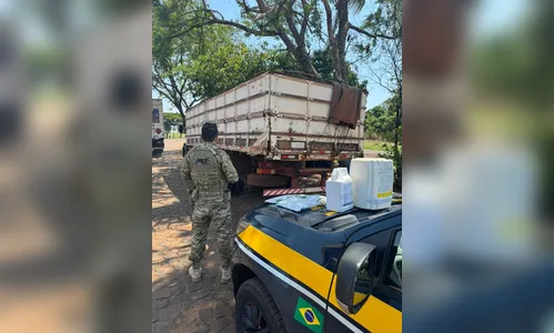 Caminhão com 2 toneladas de agrotóxicos ilegais é apreendido no Paraná